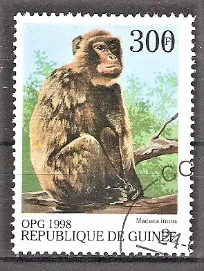 Briefmarke Guinea Mi.Nr. 1954 o Javaneraffe (Macaca irus)