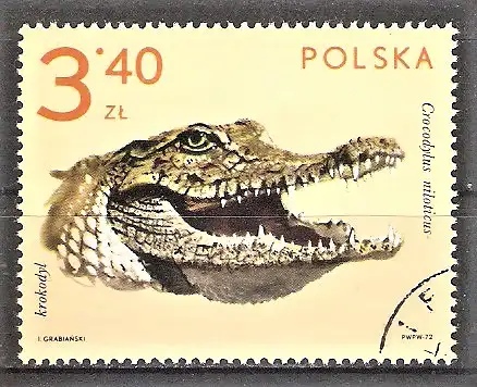 Briefmarke Polen Mi.Nr. 2167 o Tiere aus zoologischen Gärten 1972 / Nilkrokodil (Crocodylus niloticus)