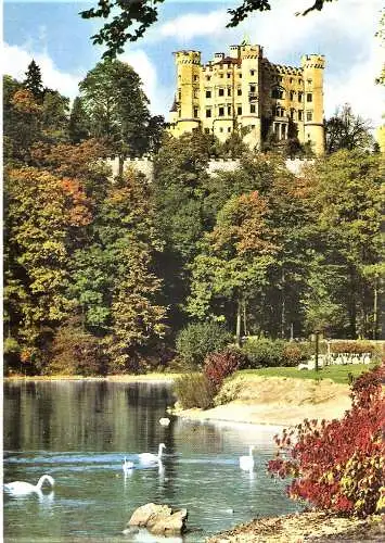 Ansichtskarte Deutschland - Schwangau / Königsschloss Hohenschwangau (2044)