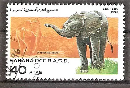 Briefmarke Sahara OCC 1996 o Afrikanischer Elefant (Loxodonta africana)