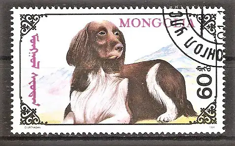 Briefmarke Mongolei Mi.Nr. 2324 o Hunde 1991 / Westhighland Spaniel