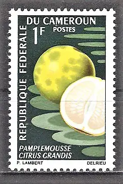 Briefmarke Kamerun Mi.Nr. 506 ** Früchte 1967 / Pampelmuse (Citrus maxima)