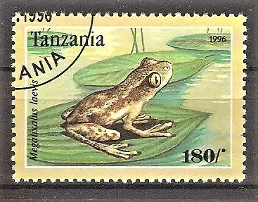 Briefmarke Tanzania Mi.Nr. 2266 o Froschlurche 1995 / Afrikanischer Baumfrosch (Megalixalus laevis)