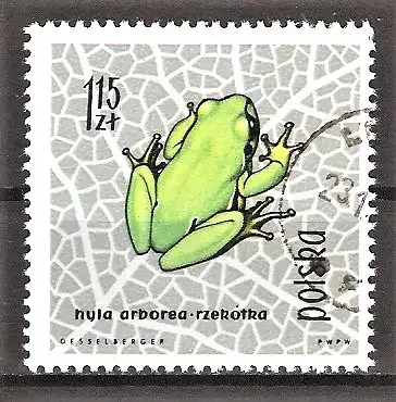 Briefmarke Polen Mi.Nr. 1398 o Lurche und Kriechtiere unter Naturschutz 1963 / Laubfrosch (Hyla arborea)