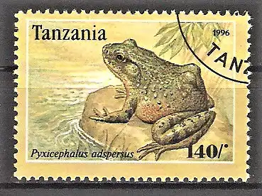 Briefmarke Tanzania Mi.Nr. 2265 o Froschlurche 1995 / Afrikanischer Ochsenfrosch (Pyxicephalus adspersus)