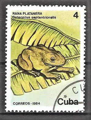 Briefmarke Cuba Mi.Nr. 2889 o  Geschützte Tiere 1984 / Laubfrosch (Osteopilus septentrionalis)