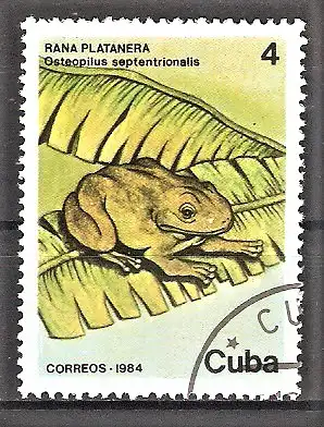Briefmarke Cuba Mi.Nr. 2889 o  Laubfrosch (Osteopilus septentrionalis)