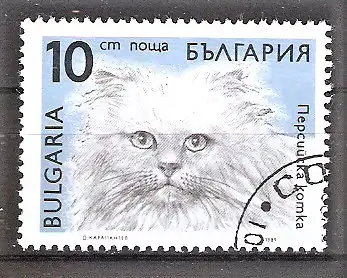 Briefmarke Bulgarien Mi.Nr. 3812 o Katzen 1989 / Perserkatze