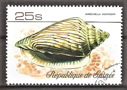 Briefmarke Guinea Mi.Nr. 775 A o Meeresschnecken 1977 / Meeresschnecke Marginella adansoni