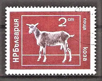 Briefmarke Bulgarien Mi.Nr. 2320 o Hausteiere 1974 / Ziege