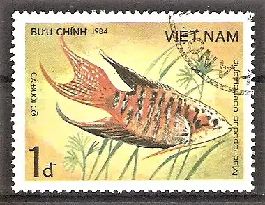 Briefmarke Vietnam Mi.Nr. 1455 o Fische 1984 / Großflosser (Macropodus opercularis)