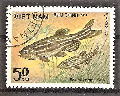 Briefmarke Vietnam Mi.Nr. 1453 o Fische 1984 / Zebrabärbling (Brachydanio rerio)