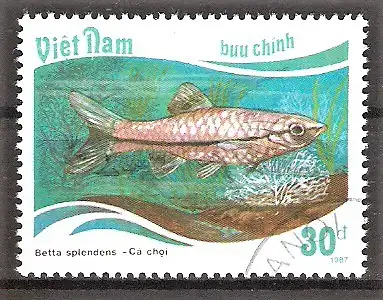 Briefmarke Vietnam Mi.Nr. 1901 o Fische 1988 / Kampffisch (Betta splendens)