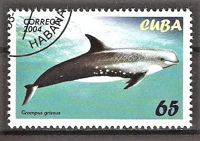 Briefmarke Cuba Mi.Nr. 4640 o Delphine 2004 / Rundkopfdelphin (Grampus griseus)