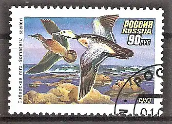 Briefmarke Russland Mi.Nr. 320 o Enten 1993 / Scheckente (Polysticta stelleri)