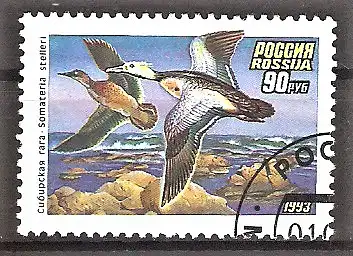 Briefmarke Russland Mi.Nr. 320 o Scheckente (Polysticta stelleri)