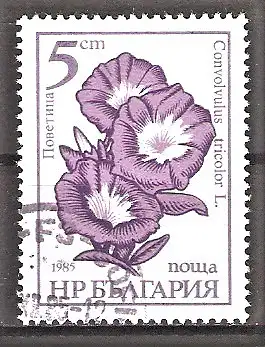 Briefmarke Bulgarien Mi.Nr. 3407 a o Gartenblumen 1985 / Winde (Convolvulus tricolor)