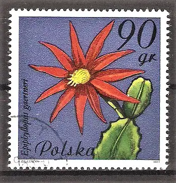 Briefmarke Polen Mi.Nr. 2784 o Sukkulentenblüten 1981 / Epiphyllopsis gaertneri