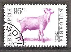 Briefmarke Bulgarien Mi.Nr. 3984 o Haustiere 1992 / Ziegenbock
