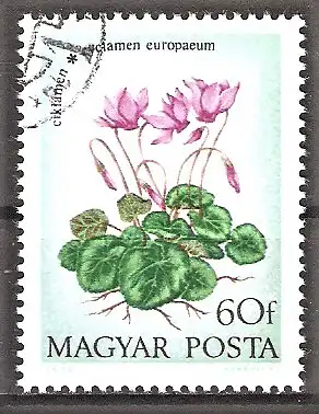 Briefmarke Ungarn Mi.Nr. 2888 A o Feldblumen 1973 / Europäisches Alpenveilchen (Cyclamen purpurascens)