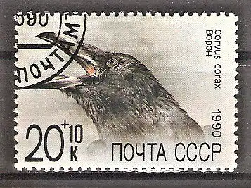 Briefmarke Sowjetunion Mi.Nr. 6081 o Kolkrabe (Corvus corax)
