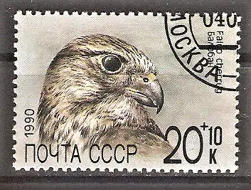 Briefmarke Sowjetunion Mi.Nr. 6080 o Hilfsfonds für die sowjetischen Tiergärten 1990 / Würgfalke (Falco cherrug)