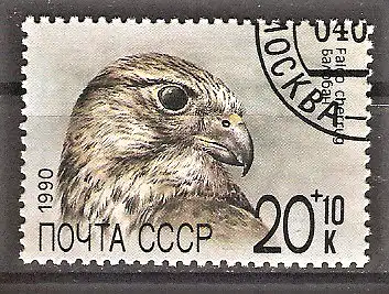 Briefmarke Sowjetunion Mi.Nr. 6080 o Würgfalke (Falco cherrug)