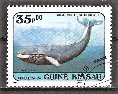Briefmarke Guinea-Bissau Mi.Nr. 810 o Wale 1984 / Seiwal (Balaenoptera borealis)