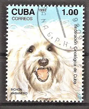 Briefmarke Cuba Mi.Nr. 3565 o Bologneserhündchen
