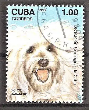 Briefmarke Cuba Mi.Nr. 3565 o Symposium der Kynologen-Föderation 1992 / Bologneserhündchen