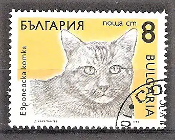 Briefmarke Bulgarien Mi.Nr. 3810 o Katzen 1989 / Europäische Hauskatze
