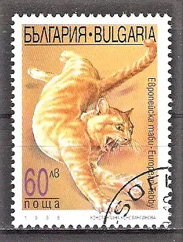 Briefmarke Bulgarien Mi.Nr. 4337 o Europäisch Tabby Katze