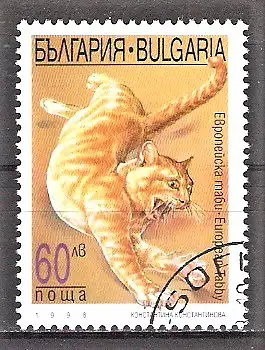 Briefmarke Bulgarien Mi.Nr. 4337 o Katzen 1998 / Europäisch Tabby Katze