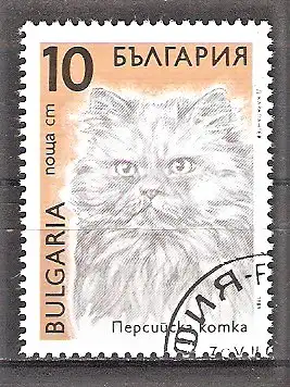 Briefmarke Bulgarien Mi.Nr. 3811 o Katzen 1989 / Perserkatze