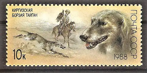 Briefmarke Sowjetunion Mi.Nr. 5828 ** Jagdhunde und Jagdszenen 1988 / Kirgisischer Windhund (Taigan)