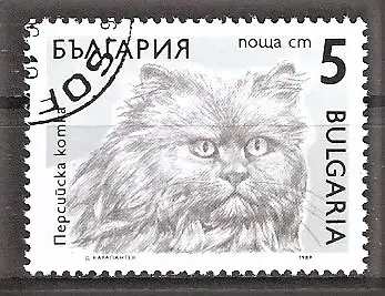 Briefmarke Bulgarien Mi.Nr. 3809 o Katzen 1989 / Perserkatze