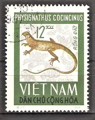 Briefmarke Vietnam Mi.Nr. 434 o Reptilien 1966 / Wasser-Agame (Physignathus cocincinus)