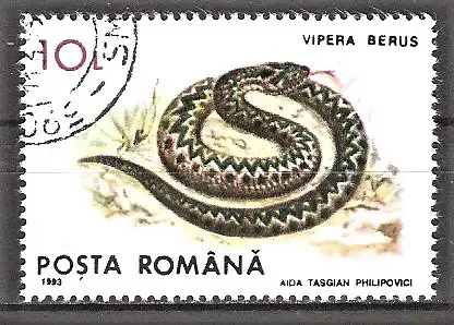 Briefmarke Rumänien Mi.Nr. 4895 o Geschützte Fauna 1993 / Kreuzotter (Vipera berus)