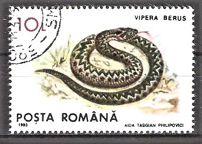 Briefmarke Rumänien Mi.Nr. 4895 o Kreuzotter (Vipera berus)