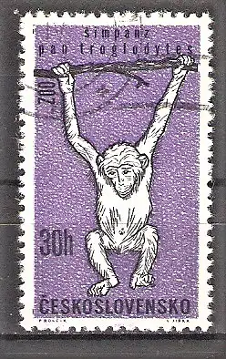 Briefmarke Tschechoslowakei Mi.Nr. 1336 o Schimpanse (Pan satyrus)