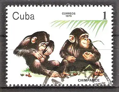 Briefmarke Cuba Mi.Nr. 2439 o Schimpansen