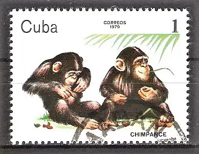 Briefmarke Cuba Mi.Nr. 2439 o Tiere des Zoologischen Gartens 1979 / Schimpansen