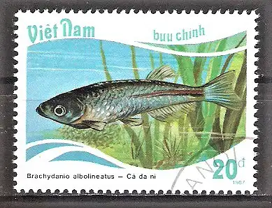 Briefmarke Vietnam Mi.Nr. 1899 o Fische 1988 / Schillerbärbling (Brachydanio albolineatus)