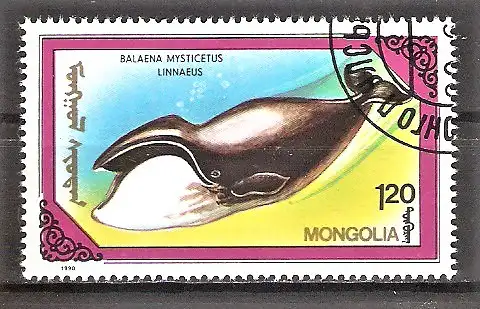 Briefmarke Mongolei Mi.Nr. 2147 o Wale und Delphine 1990 / Grönlandwal (Balaena mysticetus)