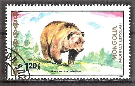 Briefmarke Mongolei Mi.Nr. 2038 o Bären 1989 / Isabell-Braunbär (Ursus arctos isabellinus)