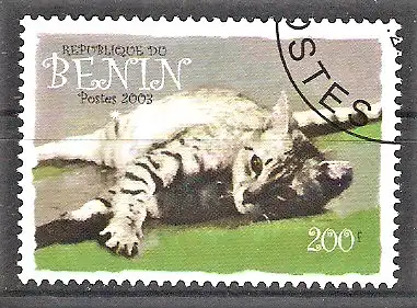 Briefmarke Benin Mi.Nr. ---- o Hauskatze