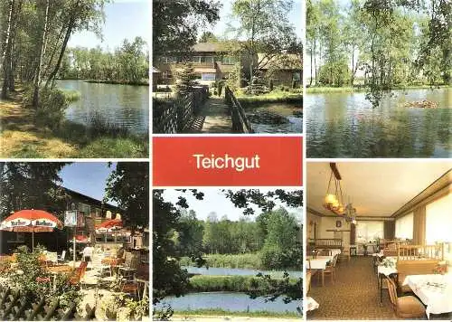 Ansichtskarte Deutschland - Wahrenholz / Ortsteil Teichgut - Teichgut-Schänke (Innen- und Außenaufnahmen & Fischteiche) (2231)