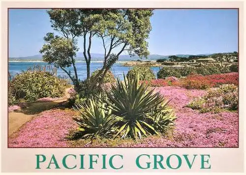 Ansichtskarte USA - Monterey / Spring flowers along Ocean View Blvd. - Pacific Grove (2377)