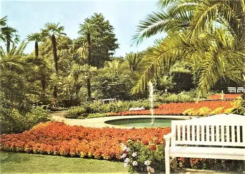 Ansichtskarte Deutschland - Bad Pyrmont / Palmengarten (2319)