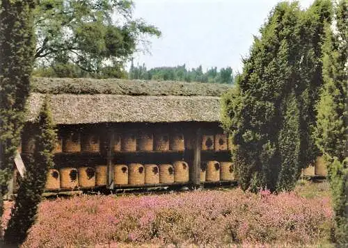 Ansichtskarte Deutschland - Korb-Bienenstand im Naturschutzgebiet Lüneburger Heide (2424)